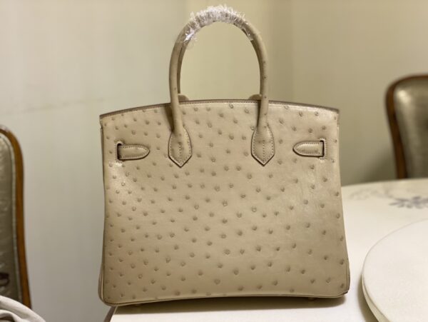 Hermes Ostrich Skin Hand Bag - Skin - Image 4