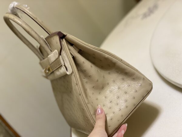 Hermes Ostrich Skin Hand Bag - Skin - Image 5